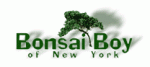 Bonsai Boy Couponcodes & aanbiedingen 2024